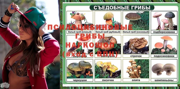 ГАЛЛЮЦИНОГЕННЫЕ ГРИБЫ Белоозёрский