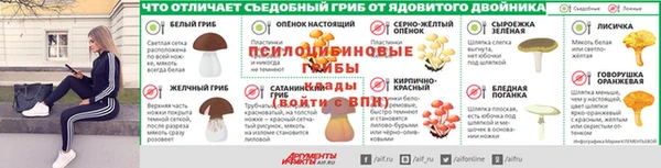 винт Белокуриха