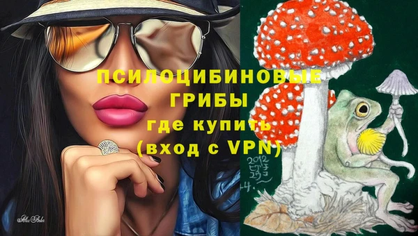 ГАЛЛЮЦИНОГЕННЫЕ ГРИБЫ Белоозёрский